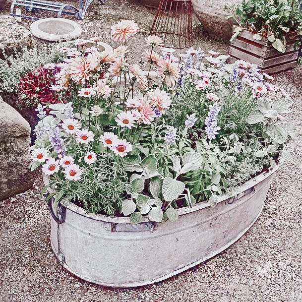 Above Ground Garden Beds Galvanized Ideas