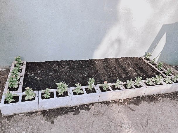 Above Ground Garden Boxes Cinderblock Ideas