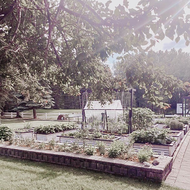 Above Ground Garden Boxes Stone Rock Ideas