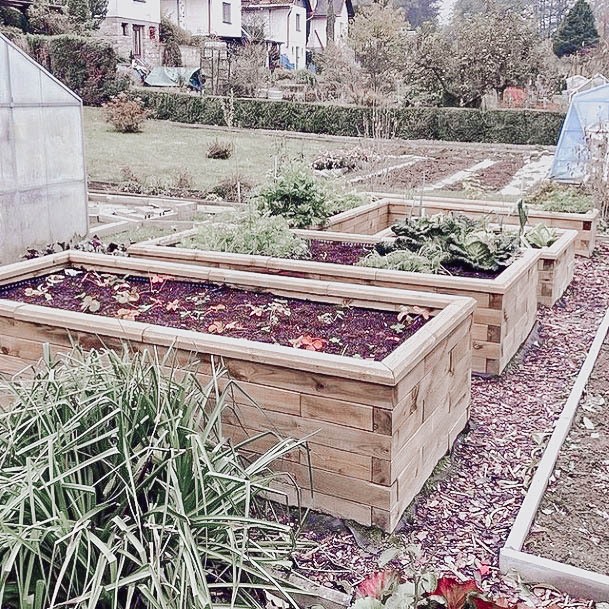 Above Ground Garden Boxes Wood Ideas