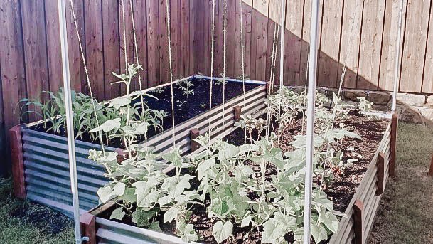 Above Ground Gardening Galvanized Beds