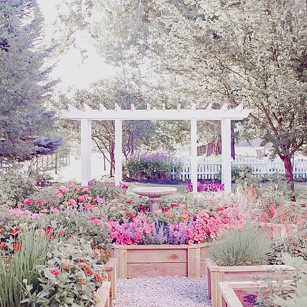 Above Ground Gardening Wood Beds