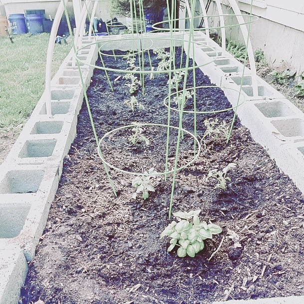 Above Ground Gardens Cinderblock