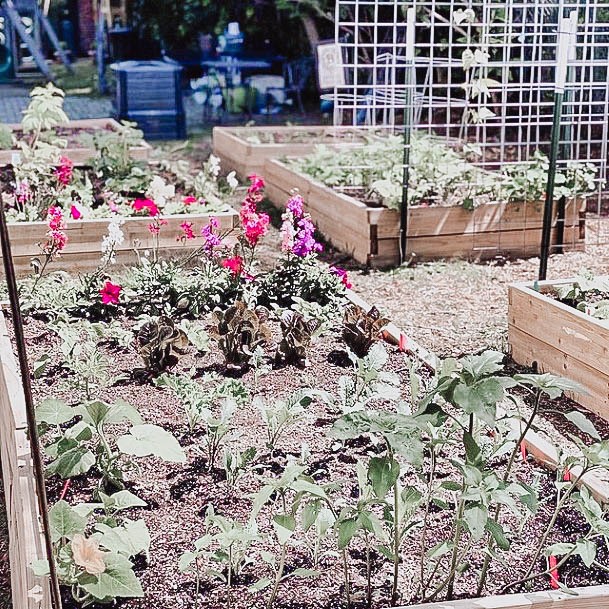 Above Ground Planter Box Best