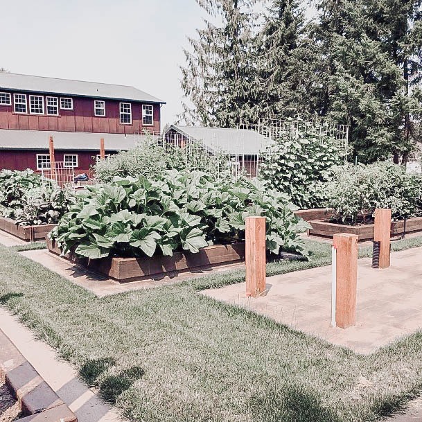 Above Ground Planter Box Concrete