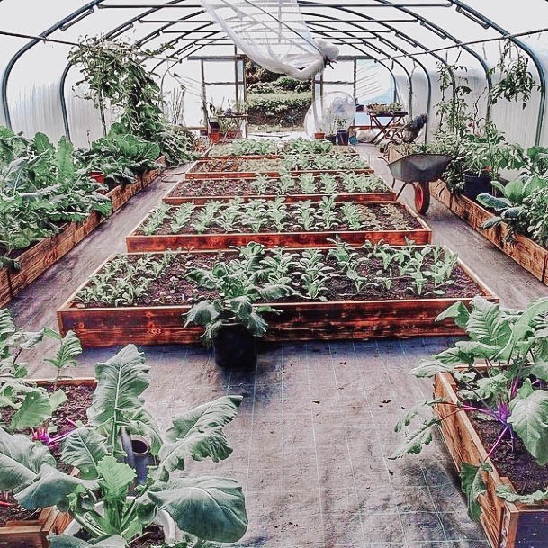 Above Ground Planter Box Wood