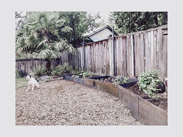 Above Ground Vegetable Garden Bed Ideas Metal