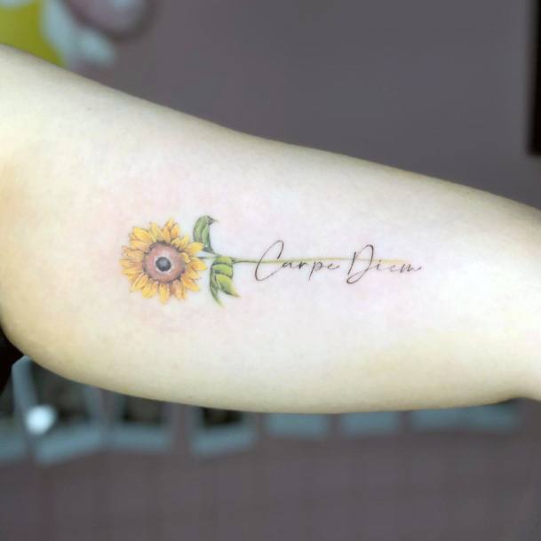 Adorable Carpe Diem Tattoo Designs For Women