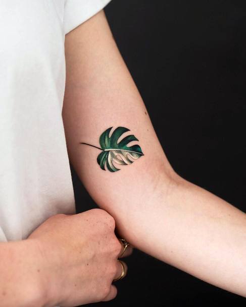 Adorable Monstera Tattoo Designs For Women
