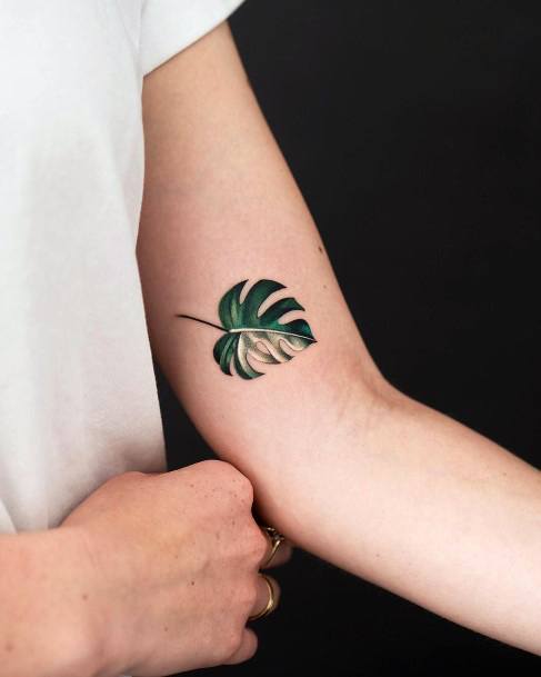 27+ Minimalist Monstera Tattoo