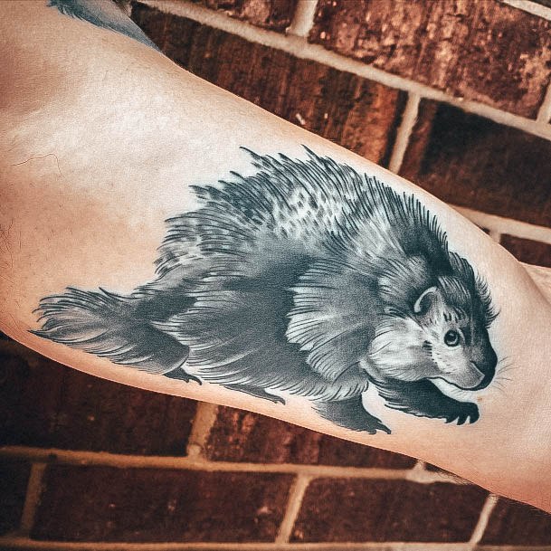 Adorable Porcupine Tattoo Designs For Women