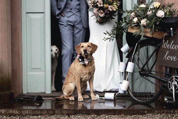 Adorable Puppy Kids Wedding Photo Ideas