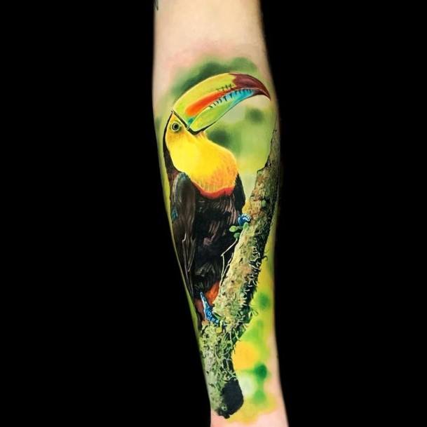 Adorable Toucan Tattoo Designs For Women