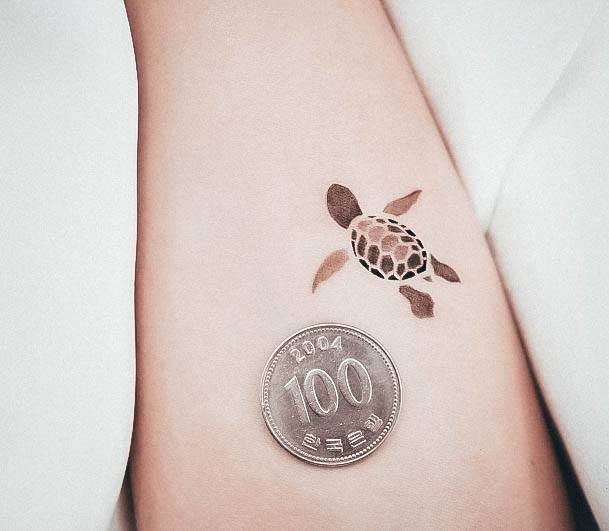 Adorable Turtle Tattoo Designs For Women Super Tiny