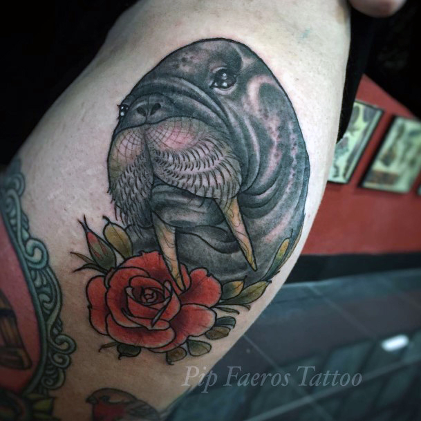 Adorable Walrus Tattoo Designs For Women