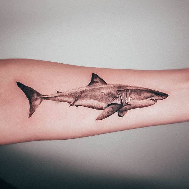 bull shark tattoos