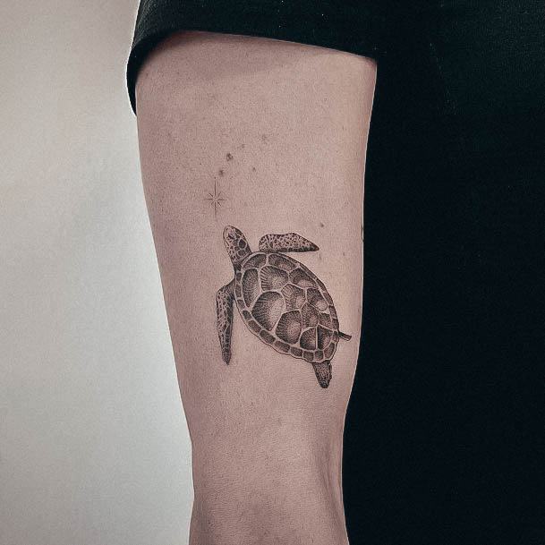 Aesthetic Turtle Tattoo On Woman Tiny Arm