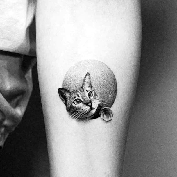 Affectionate Cat Tattoo Womens Arms
