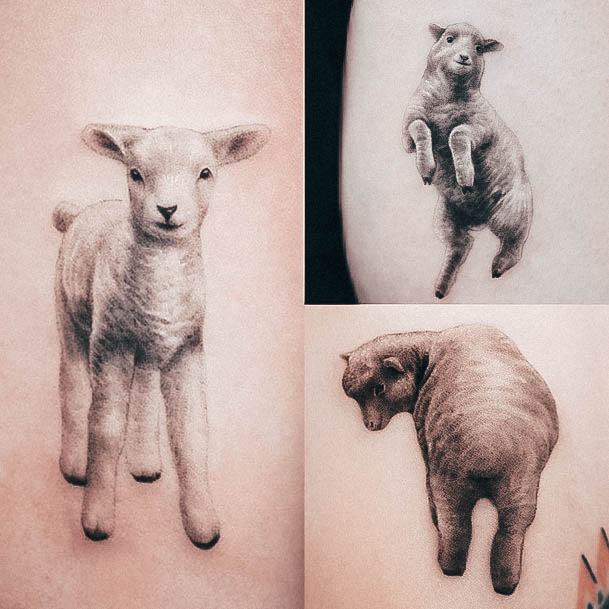 Meaning of Sheep tattoos  BlendUp