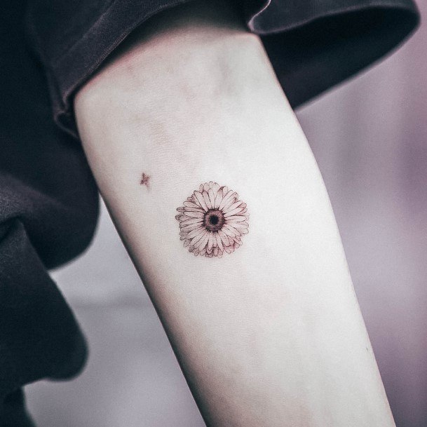 Amazing Daisy Tattoo Ideas For Women Tiny Small