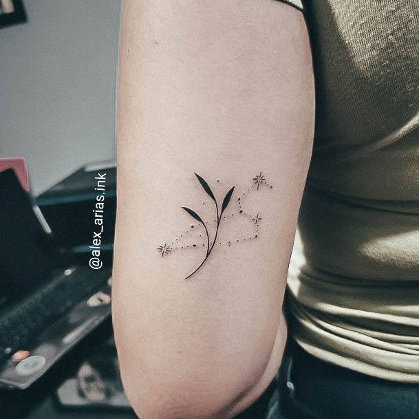 Amazing Leo Tattoo Ideas For Women Tricep Constellation Stars