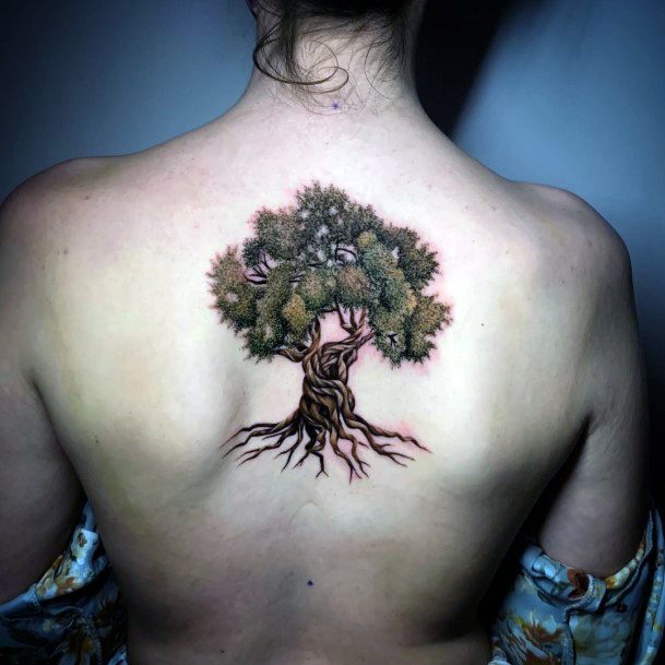 Top 100 Best Olive Tree Tattoos For Women - Branch Design Ideas