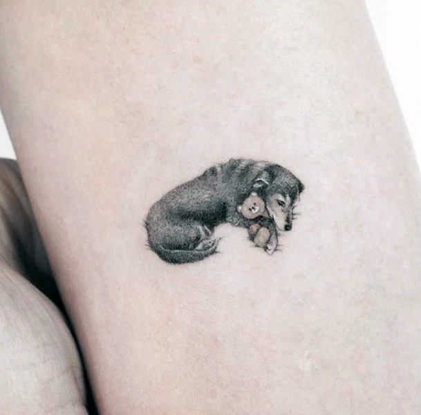 Amazing Pet Tattoo Ideas For Women