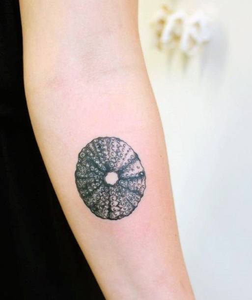 Amazing Sea Urchin Tattoo Ideas For Women
