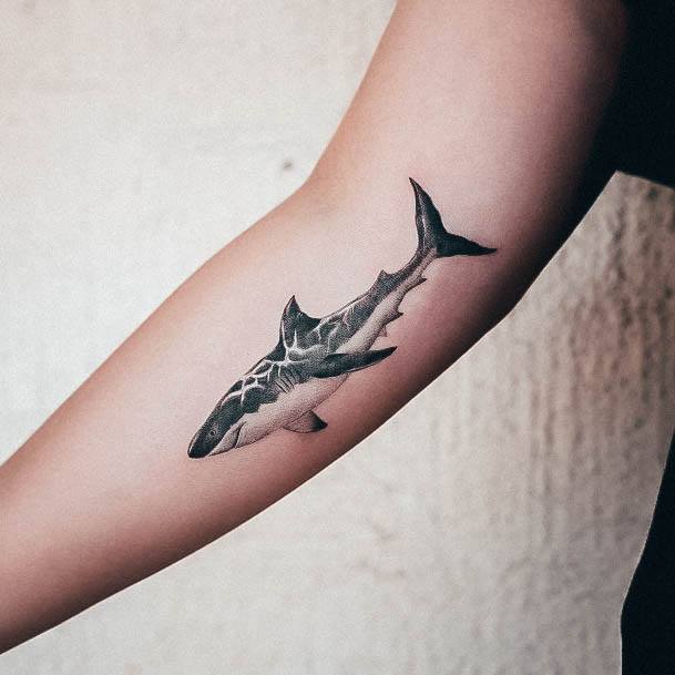 Explore the 5 Best shark Tattoo Ideas March 2017  Tattoodo
