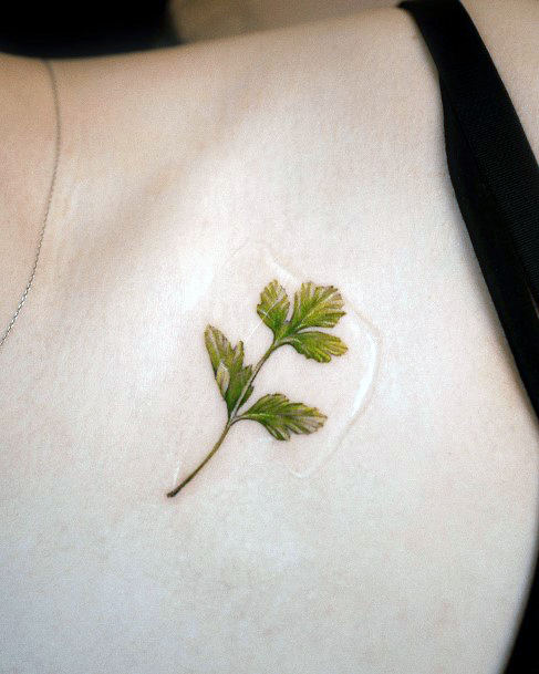 Appealing Womens Coriander Tattoos