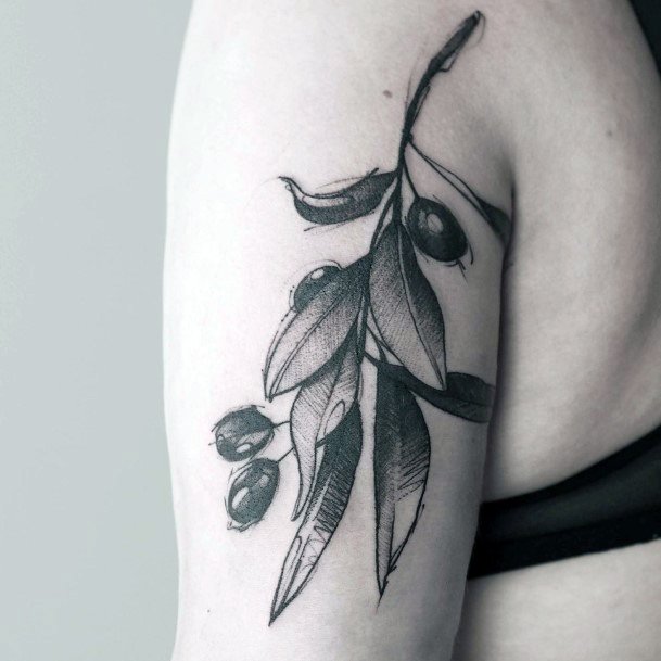 Appealing Womens Olive Tree Tattoos