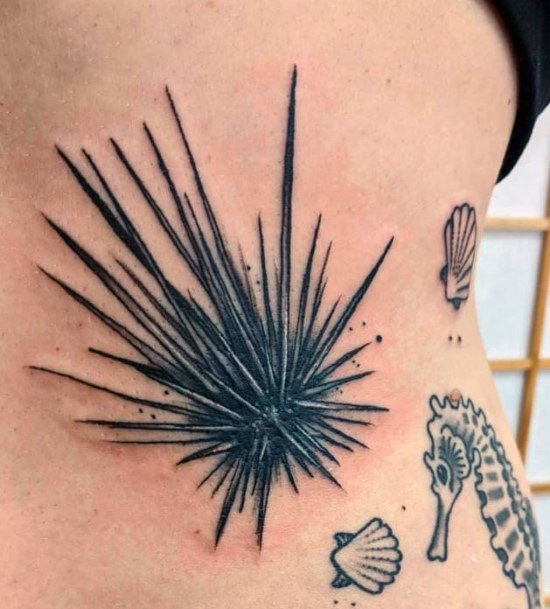 Appealing Womens Sea Urchin Tattoos