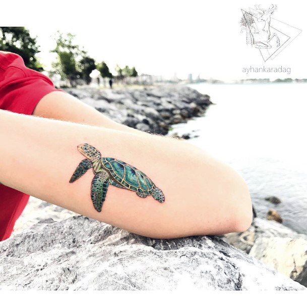 Appealing Womens Turquoise Tattoos Turtle Themed Forearm