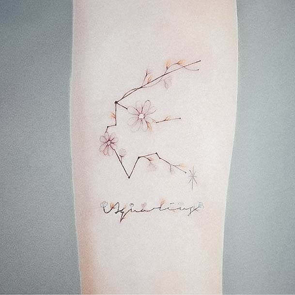 Aquarius Tattoos For Girls Tiny