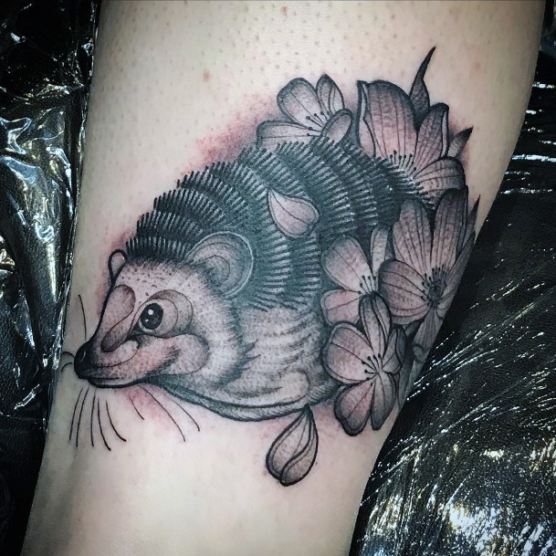 Artistic Hedgehog Tattoo On Woman