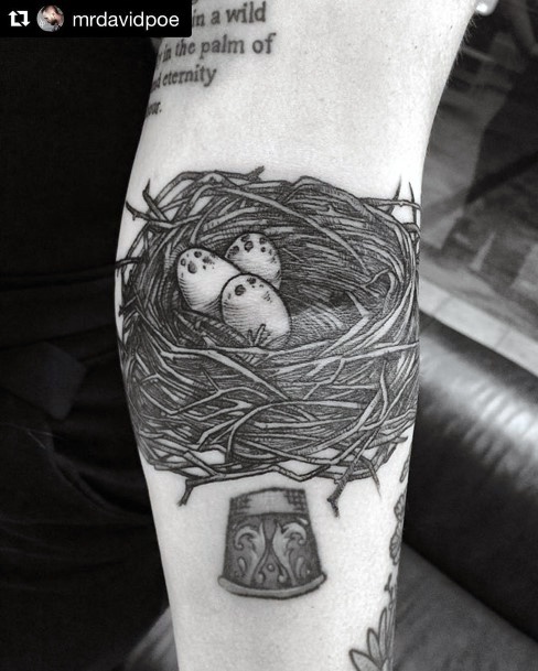 Astonishing Birds Nest Tattoo For Girls