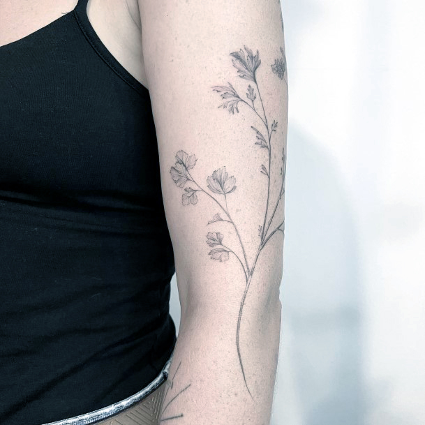 Astonishing Coriander Tattoo For Girls