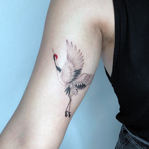 Astonishing Crane Tattoo For Girls