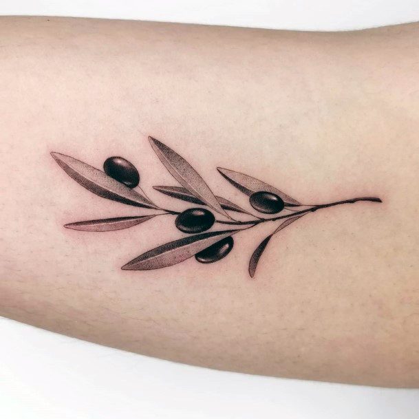 Astonishing Olive Tree Tattoo For Girls