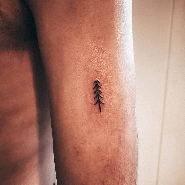 Astonishing Pine Tree Tattoo For Girls