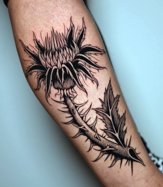 Astonishing Thistle Tattoo For Girls