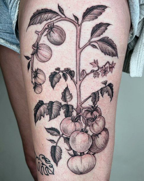 Astonishing Tomato Tattoo For Girls