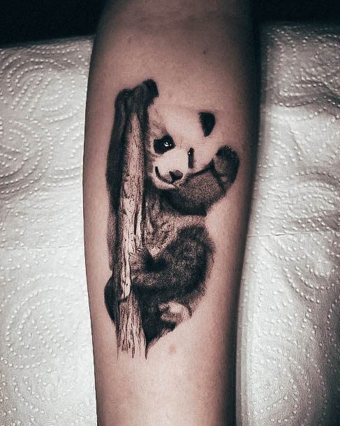 Beautiful Panda Tattoos Design And Ideas  Cute Panda Tattoo Ideas For  Women  Panda Bear Tattoo  YouTube