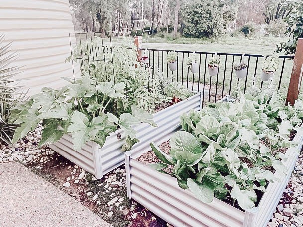 Awesome Galvanized Raised Garden Bed Ideas
