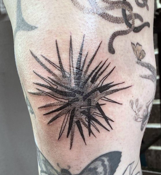 Awesome Sea Urchin Tattoos For Women