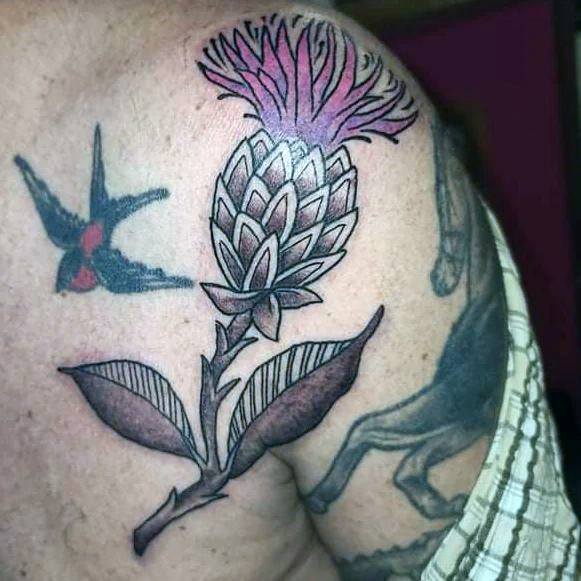 Awesome Thistle Tattoos For Women