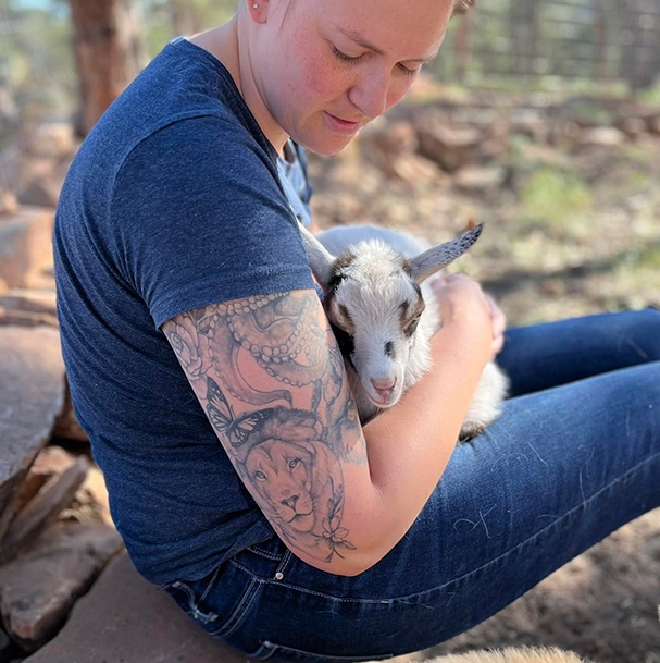 Baby Nigerian Dwarf Goats