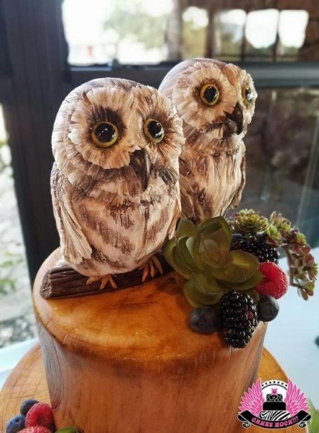 Baby Owl Pair Rustic Wedding Cake Toppers