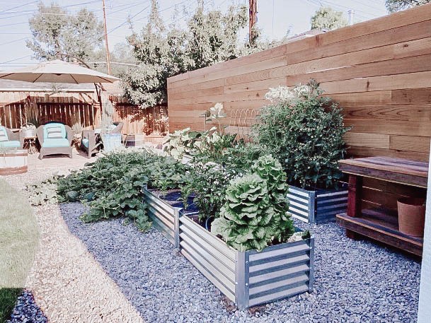 Backyard Raised Garden Bed Ideas Galvanized