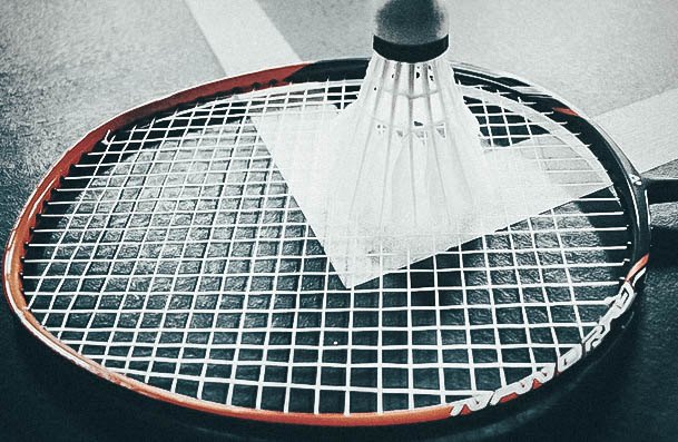 Badminton Date Idea Activites